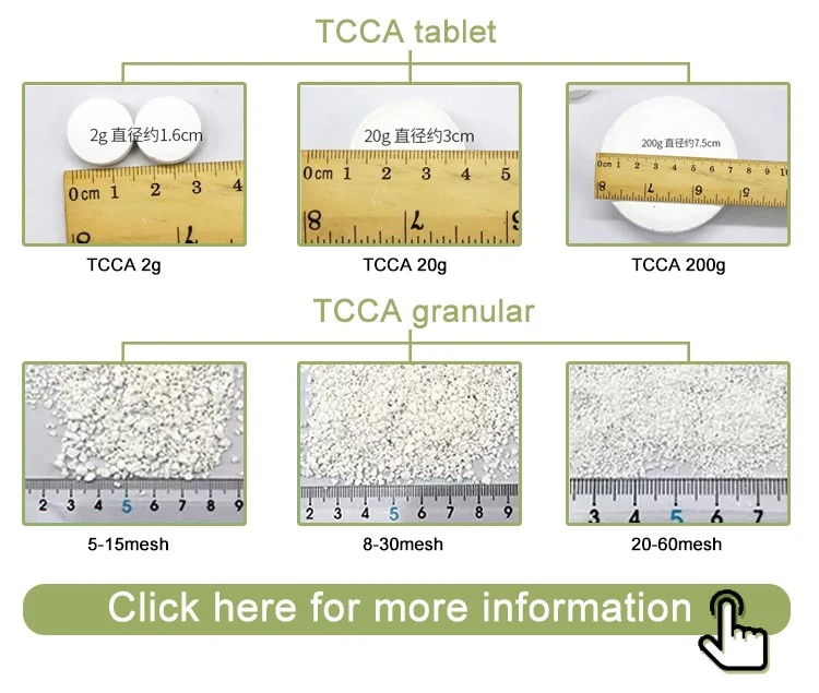 Water Treatment Chemical TCCA 90% Granular 200g Chlorine Tablet (6) Water Treatment Chemical TCCA 90% Granular 200g Chlorine Tablet (6)