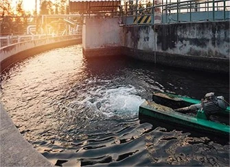 info-335-243 info-335-243