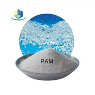 Polyacrylamide Cationic Pam Anionic Coagulant گندے پانی کے پانی کے علاج کے لیے