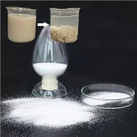 Cationic جزوی طور پر ہائیڈرولائزڈ Polyacrylamide